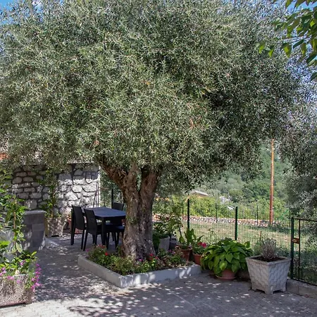 Casa Degli Ulivi Con Parcheggio Privato Appartamento