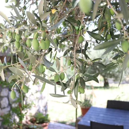 Lejlighed Casa Degli Ulivi Con Parcheggio Privato *